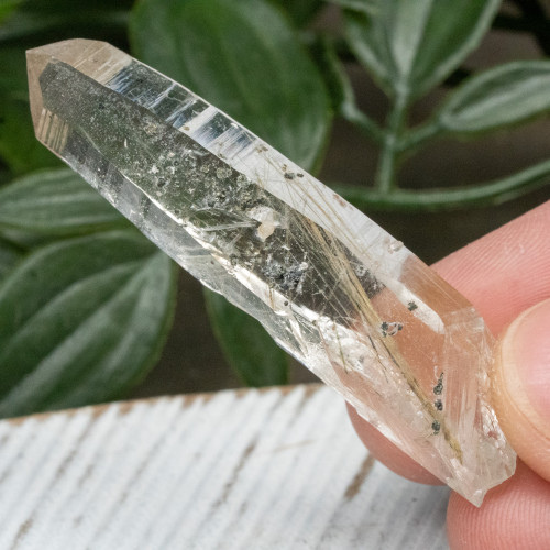 Actinolite in Quartz #2