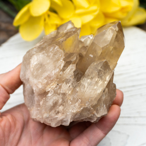 Kundalini Citrine #17