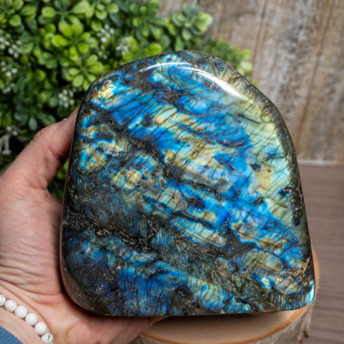 Polished Cut Base Labradorite #5