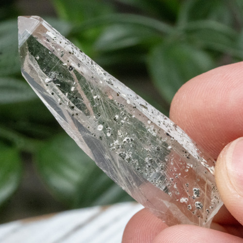 Actinolite in Quartz #1
