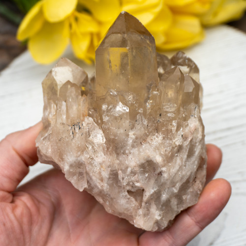 Kundalini Citrine #17