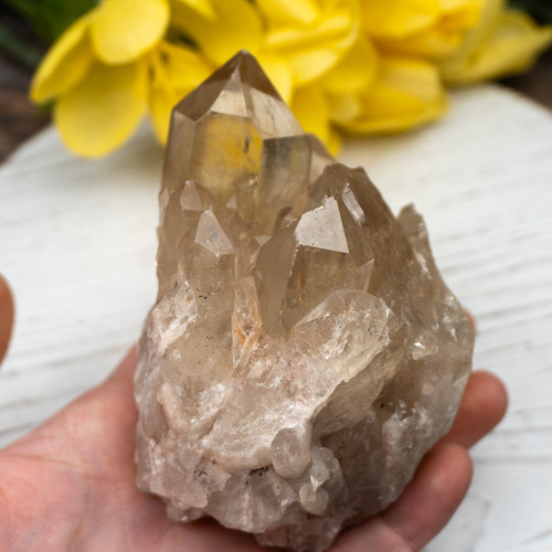 Kundalini Citrine #17