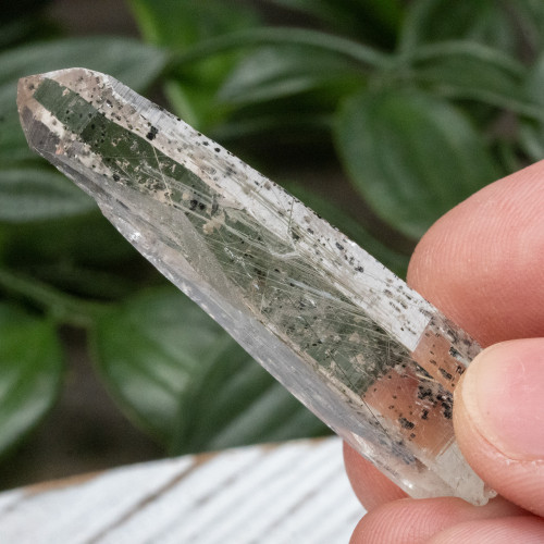 Actinolite in Quartz #1