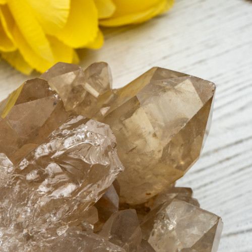 Kundalini Citrine #17