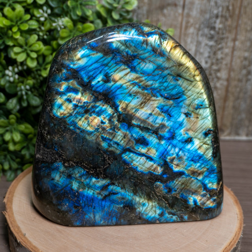 Polished Cut Base Labradorite #5