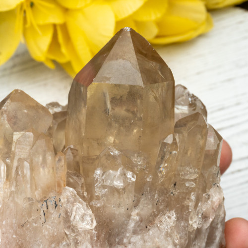 Kundalini Citrine #17