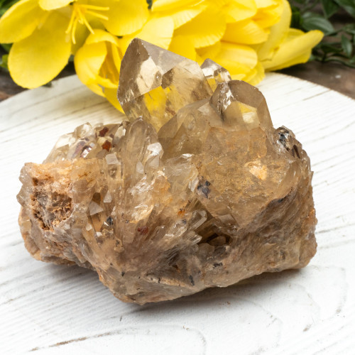 Kundalini Citrine #16