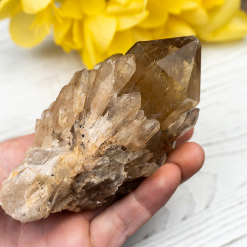 Kundalini Citrine #15