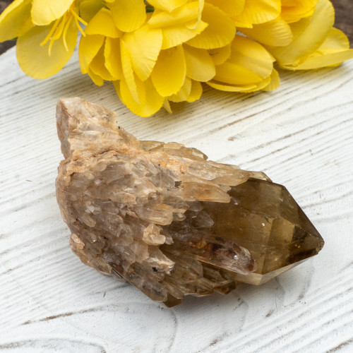 Kundalini Citrine #15
