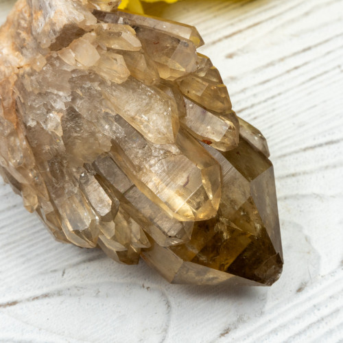 Kundalini Citrine #15