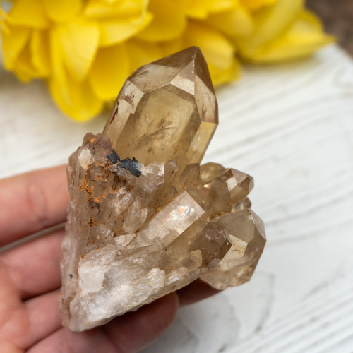 Kundalini Citrine #14