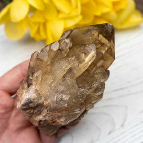 Kundalini Citrine #15