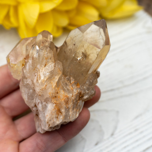 Kundalini Citrine #14