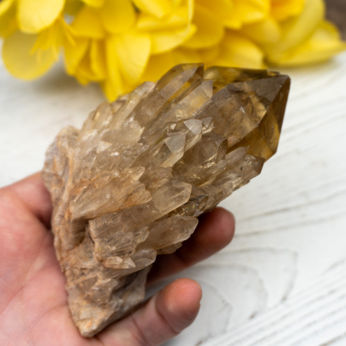 Kundalini Citrine #15