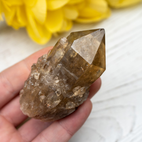 Kundalini Citrine #12