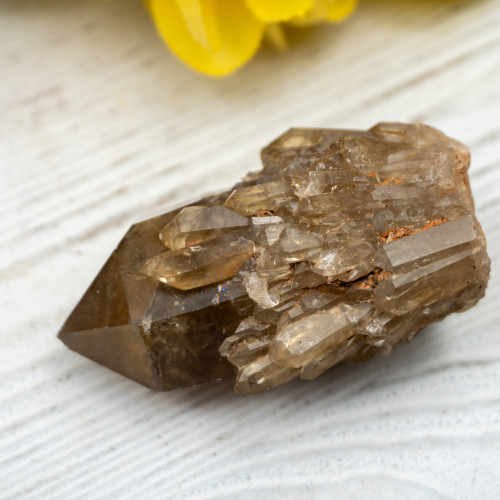 Kundalini Citrine #12