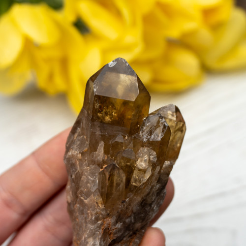 Kundalini Citrine #11