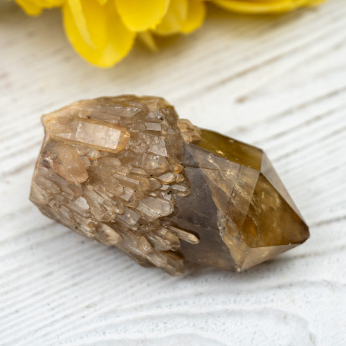 Kundalini Citrine #12