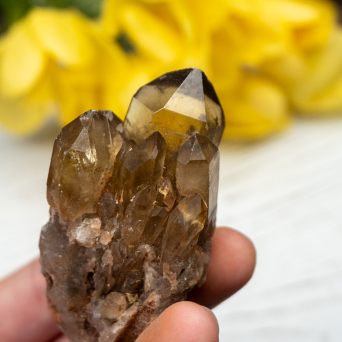 Kundalini Citrine #11