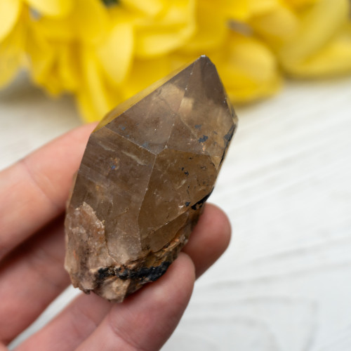 Kundalini Citrine #10