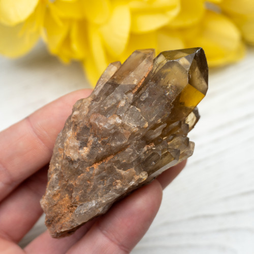 Kundalini Citrine #11