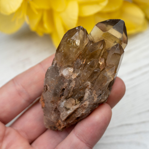 Kundalini Citrine #11