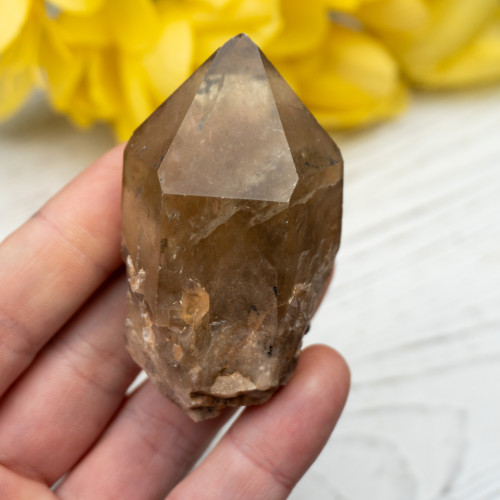 Kundalini Citrine #10