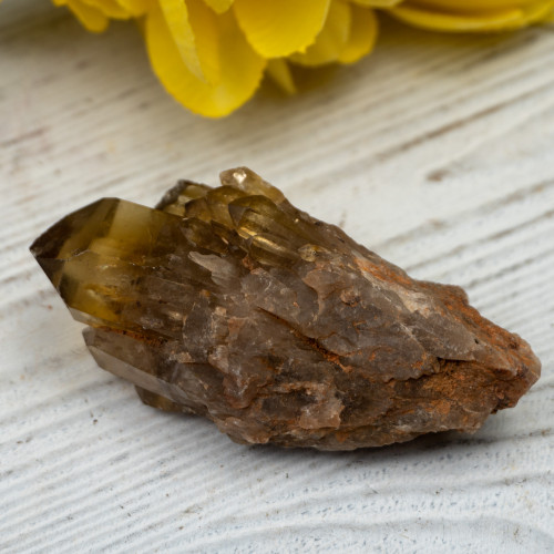 Kundalini Citrine #11