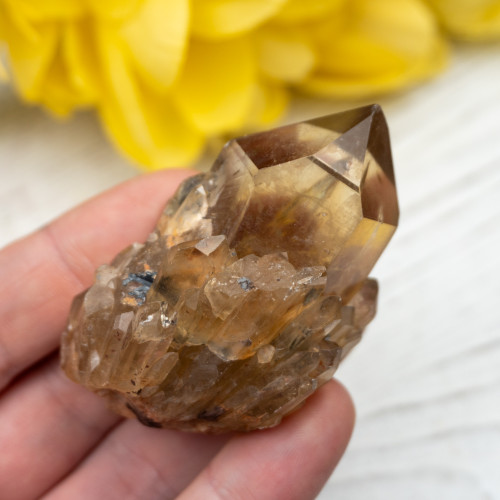 Kundalini Citrine #8