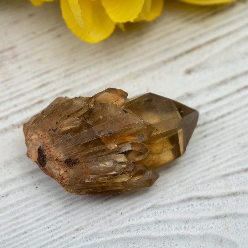 Kundalini Citrine #8