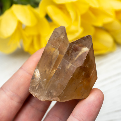 Kundalini Citrine #7
