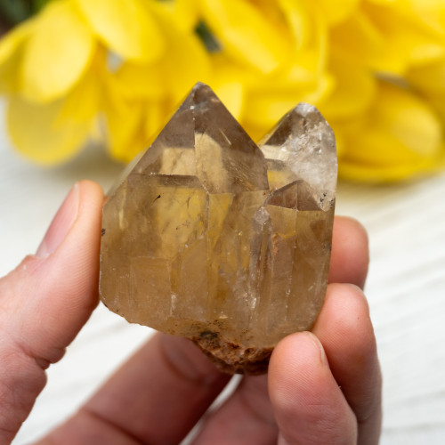 Kundalini Citrine #7