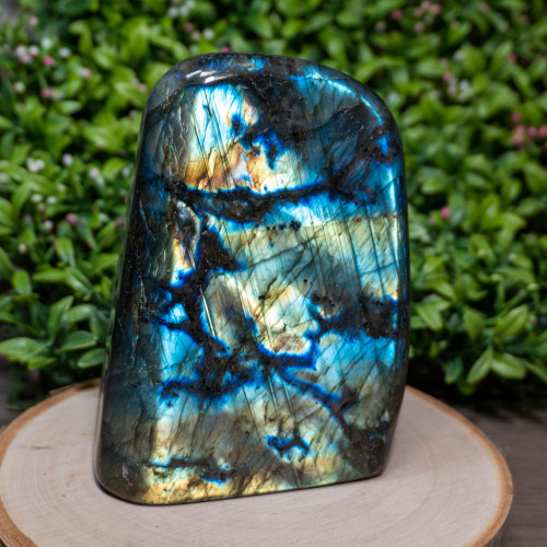 Polished Cut Base Labradorite #2