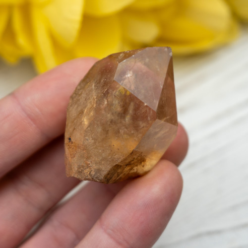 Kundalini Citrine #5