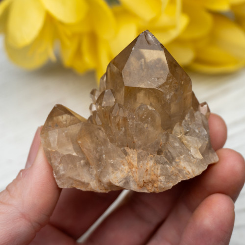 Kundalini Citrine #2