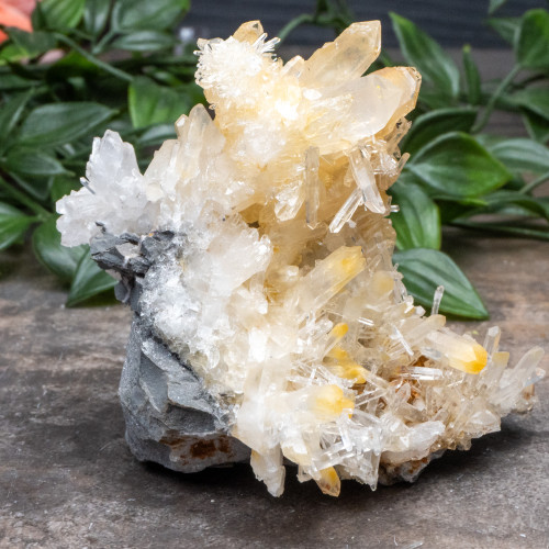 Mango Quartz #21