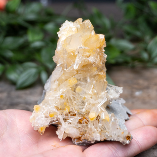 Mango Quartz #21