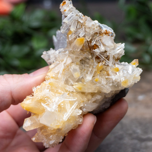 Mango Quartz #21
