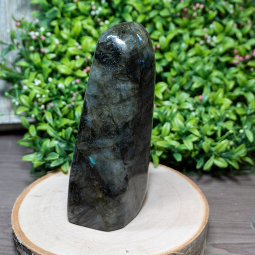 Polished Cut Base Labradorite #1