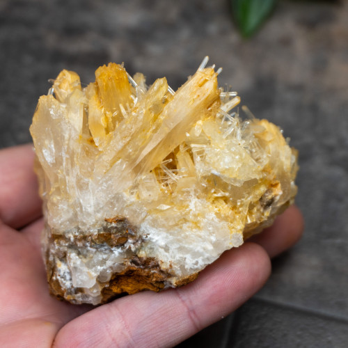 Mango Quartz #19