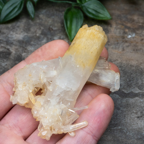 Mango Quartz #18