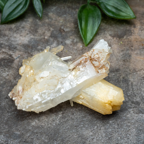 Mango Quartz #18