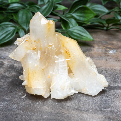 Mango Quartz #17