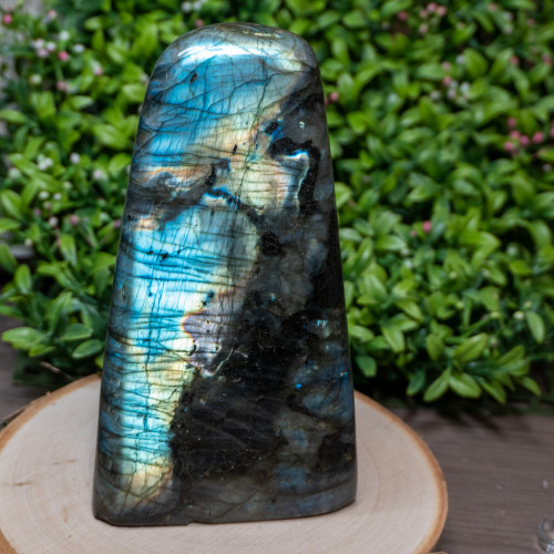 Polished Cut Base Labradorite #1