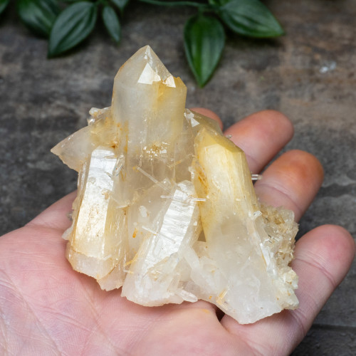 Mango Quartz #17