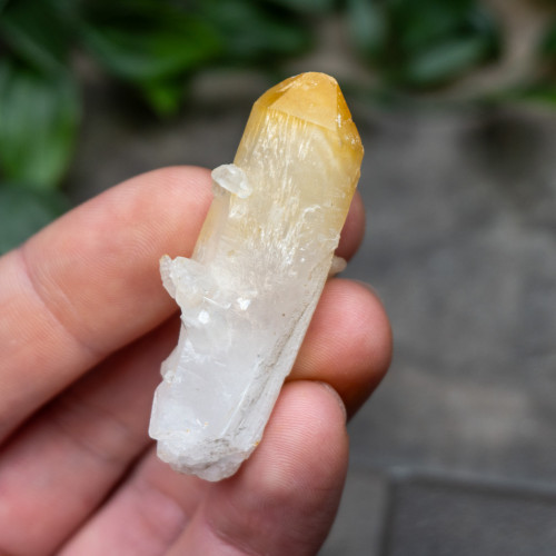 Mango Quartz #16