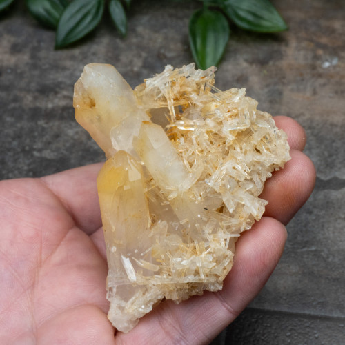 Mango Quartz #17
