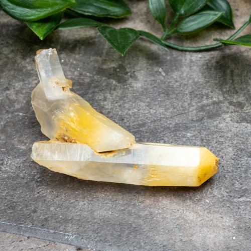 Mango Quartz #15