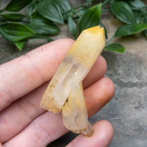 Mango Quartz #15