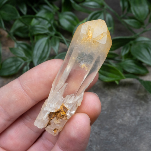 Mango Quartz #14